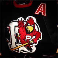 2013-14 Allison Era Plattsburgh Cardinals Women's Hockey